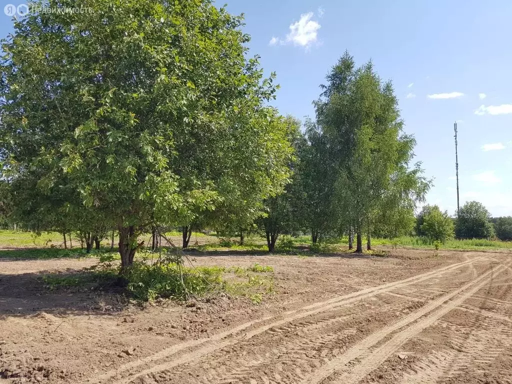 Участок в Рузский городской округ, деревня Андрейково (4 м) - Фото 1