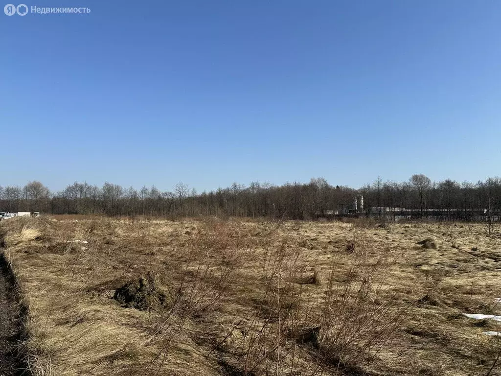 Участок в Калининградская область, Гурьевский муниципальный округ, ... - Фото 2