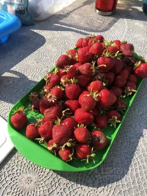 Дом в Тульская область, Заокский район, Демидовское с/пос, Давыдовское ... - Фото 2