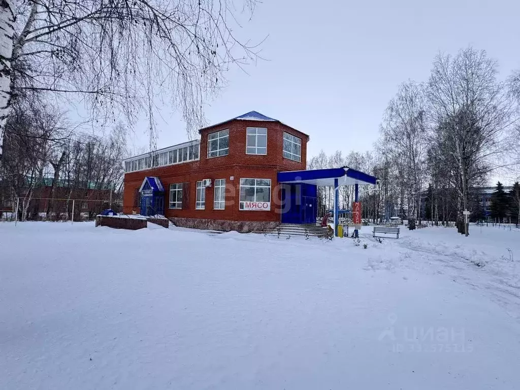 Торговая площадь в Башкортостан, с. Буздяк ул. Красноармейская, 33 ... - Фото 2