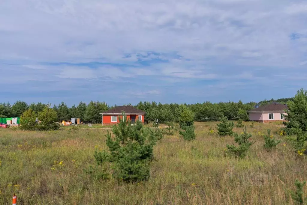 Участок в Рязанская область, Рязанский район, Дубровическое с/пос, с. ... - Фото 1