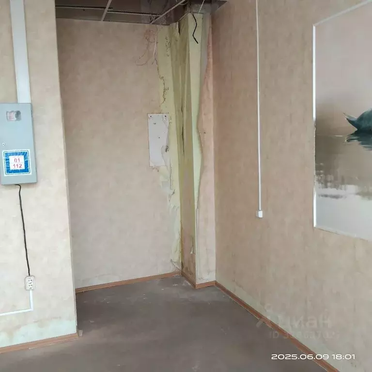 Помещение свободного назначения в Тульская область, Тула ул. ... - Фото 2