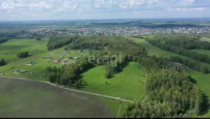 Участок в Новосибирский район, Морской сельсовет, ТСН Ближняя Дача ... - Фото 0