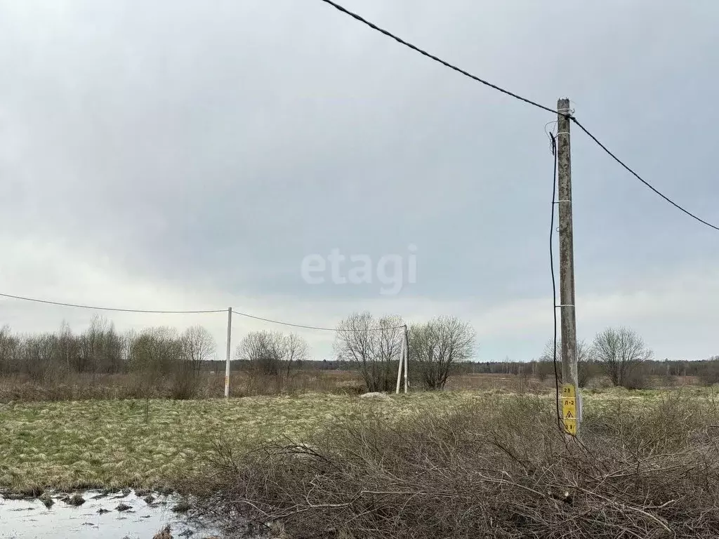 Участок в Калининградская область, Гурьевский муниципальный округ, ... - Фото 1