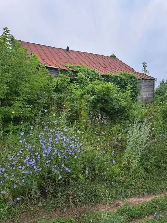 Дом в Самарская область, Шигонский район, Новодевичье с/пос, с. ... - Фото 0