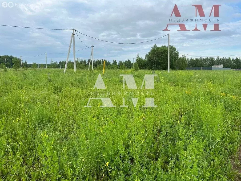 Участок в городской округ Владимир, деревня Немцово (14.4 м) - Фото 1