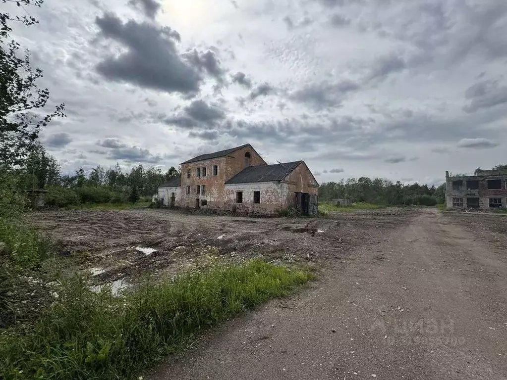 Торговая площадь в Новгородская область, Шимский район, Уторгош ж/д_ст ... - Фото 0