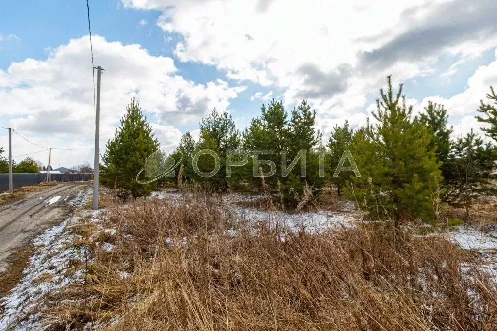 Участок в Тюменская область, Тюменский район, д. Елань 14 (10.47 сот.) - Фото 1