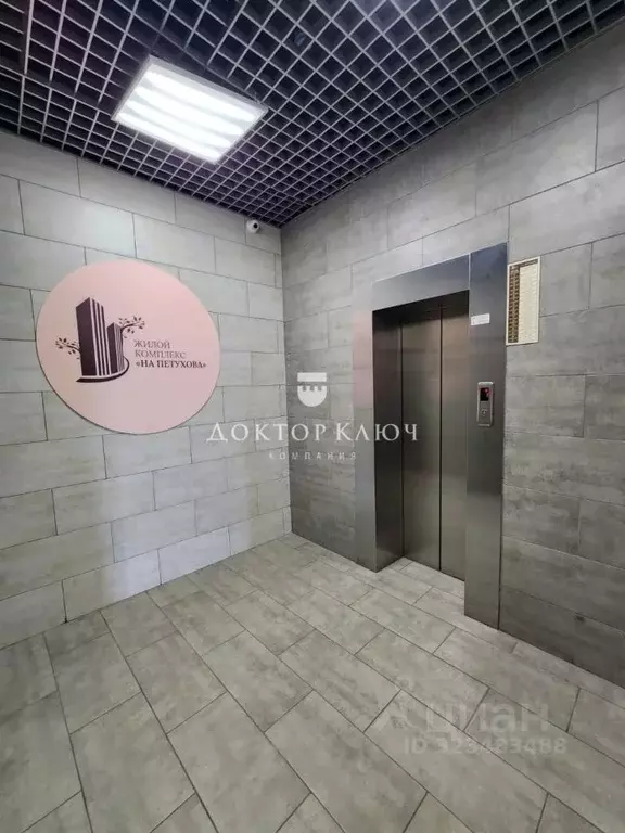 2-к кв. Новосибирская область, Новосибирск ул. Петухова, 172 (66.0 м) - Фото 2