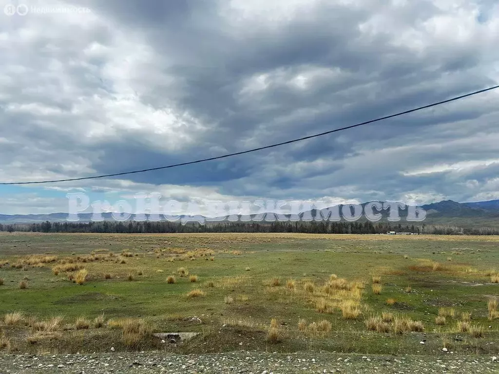 Участок в Республика Тыва, Кызылский кожуун, посёлок городского типа ... - Фото 1