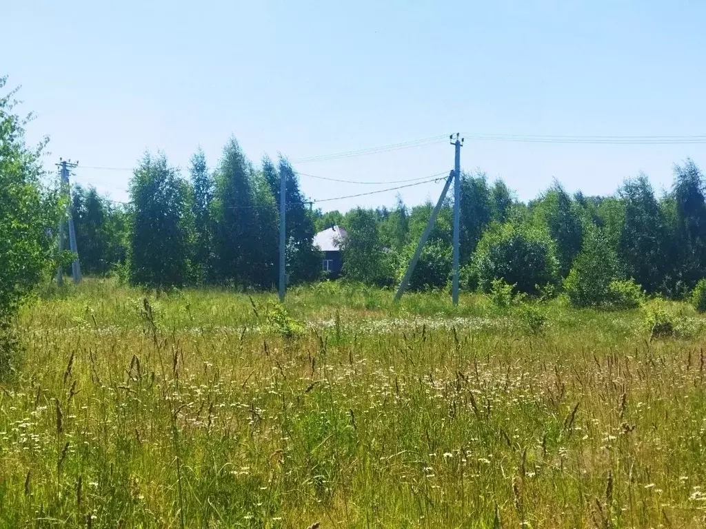 Участок в Тульская область, Ясногорский район, Иваньковское с/пос, ... - Фото 2