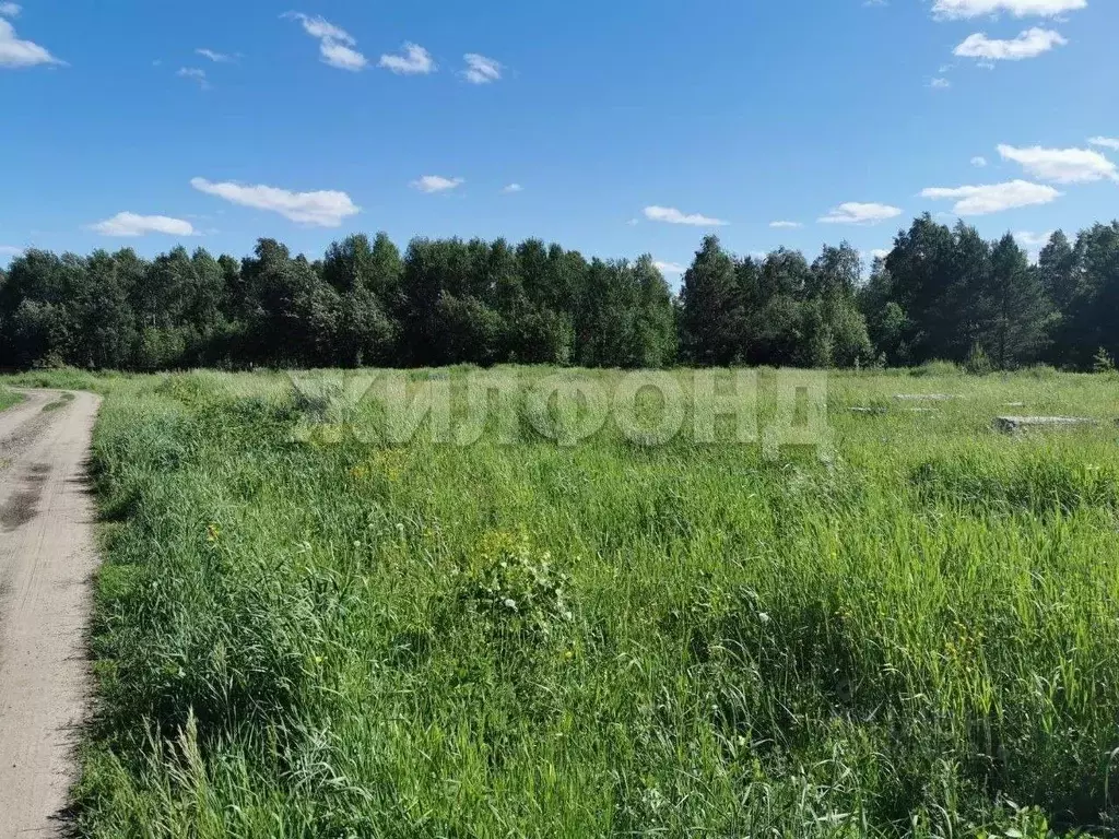 Участок в Томская область, Томский район, с. Кафтанчиково ул. ... - Фото 0