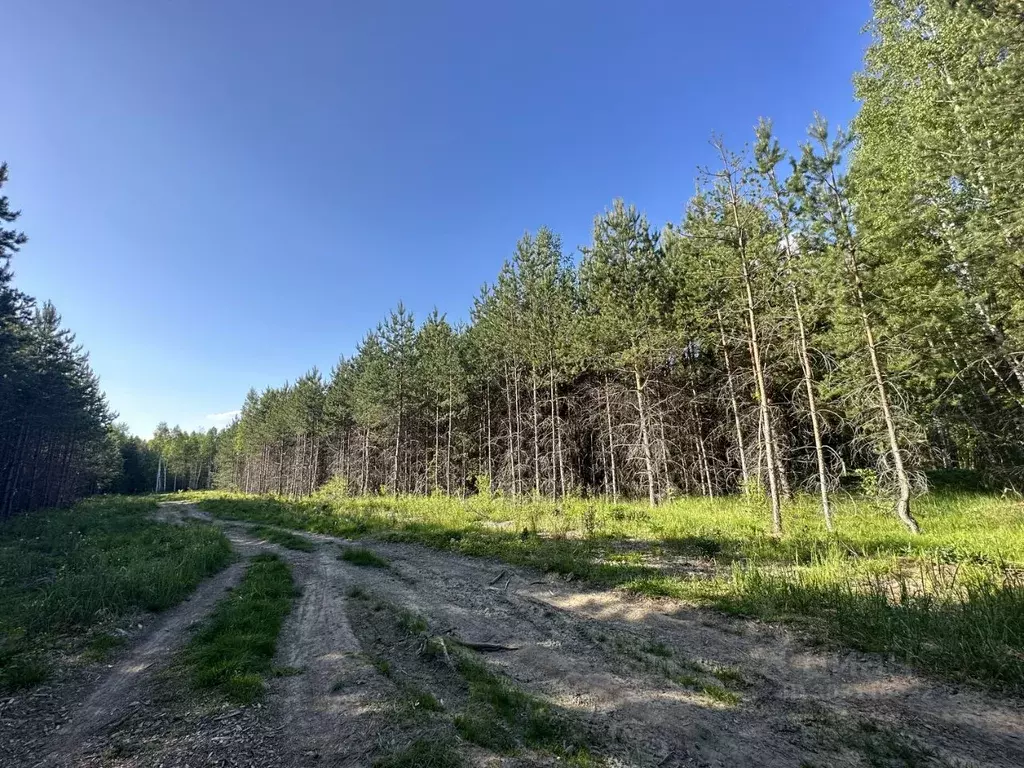 Участок в Нижегородская область, Арзамас городской округ, с. Морозовка ... - Фото 1