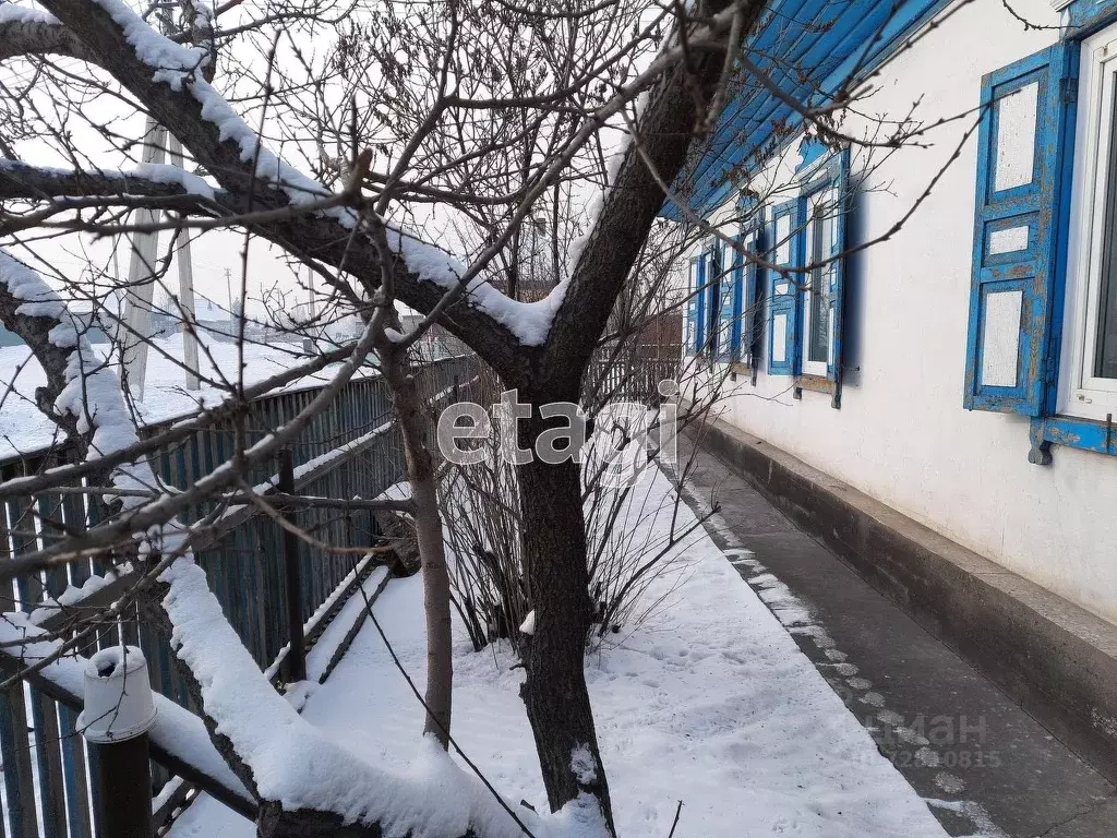 суэк черногорск. дк в черногорске. трест черногорск. магазин стрела черногорск. кинотеатр мир черногорск.