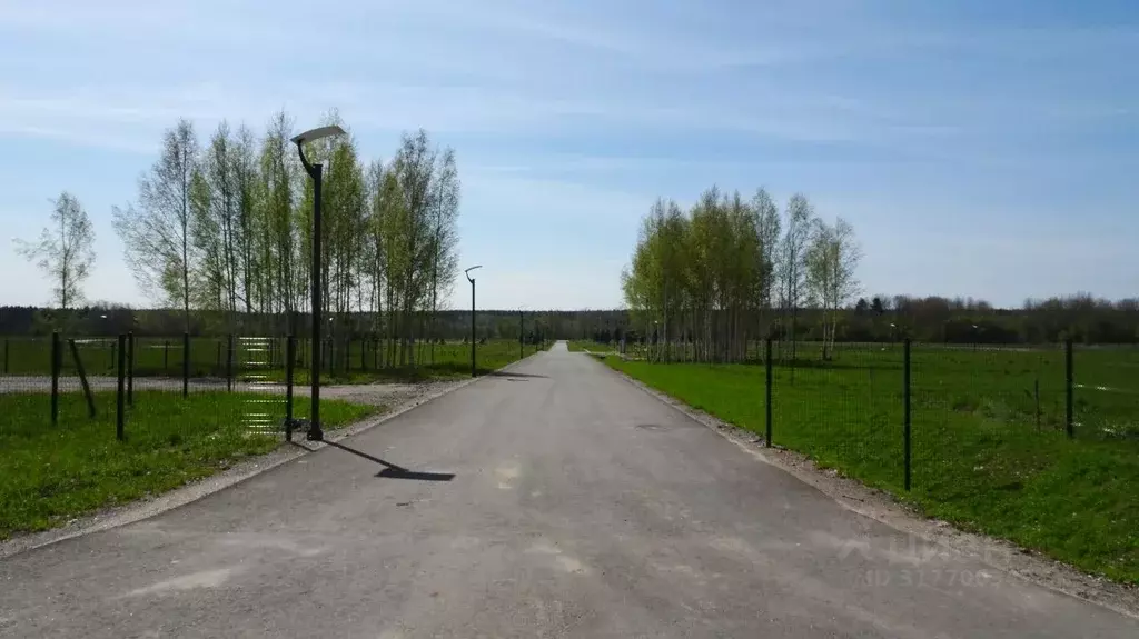 Участок в Ленинградская область, Приозерский район, Ромашкинское ... - Фото 0