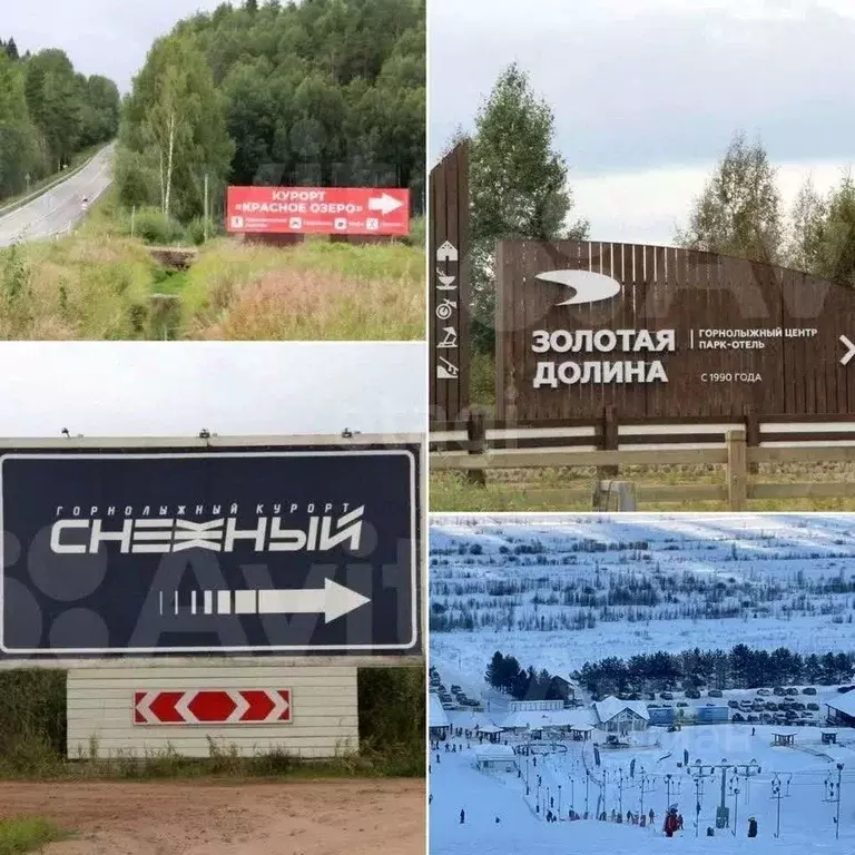 Участок в Ленинградская область, Приозерский район, Красноозерное ... - Фото 1