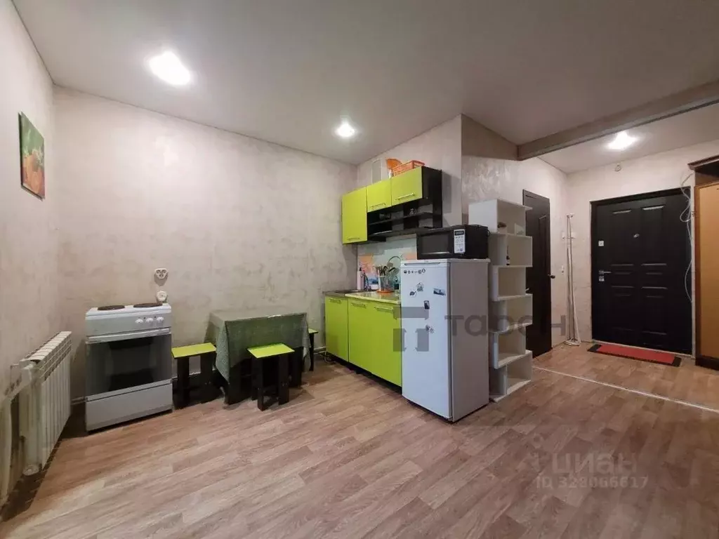 Студия Челябинская область, Чебаркуль ул. Карпенко, 2 (28.0 м) - Фото 1