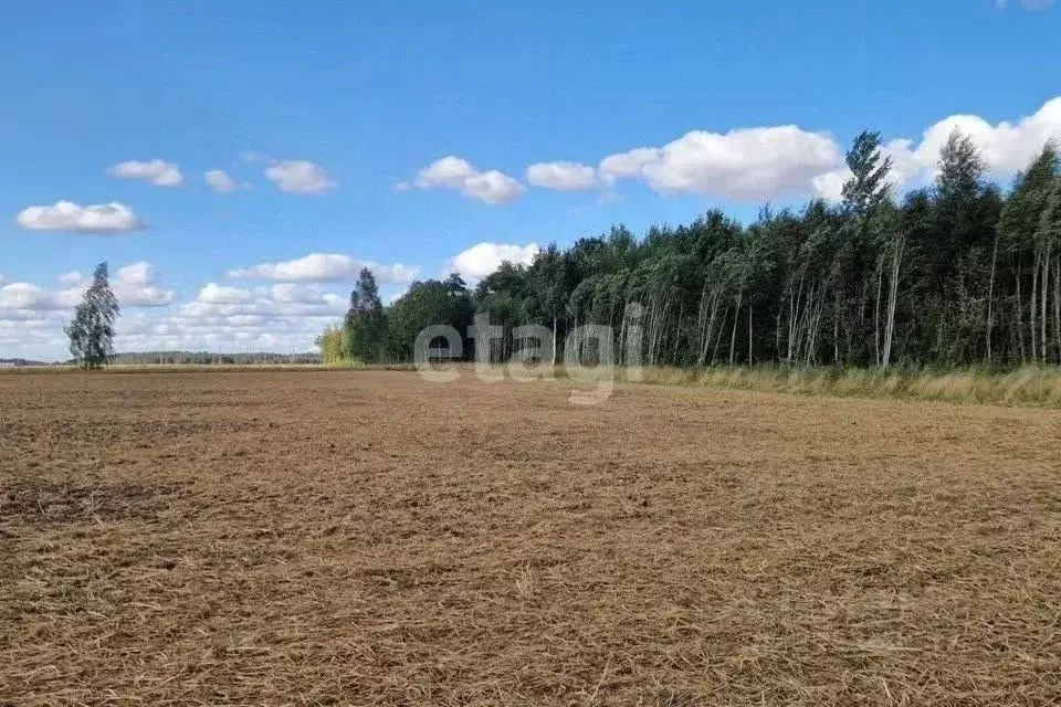 Участок в Ярославская область, Некрасовский муниципальный округ, д. ... - Фото 2