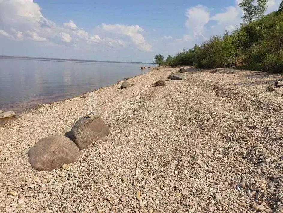 Участок в Новгородская область, Шимское городское поселение, д. ... - Фото 0