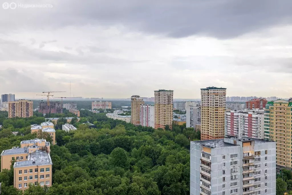 6-комнатная квартира: Москва, 10-я Парковая улица, 20 (497.5 м) - Фото 1