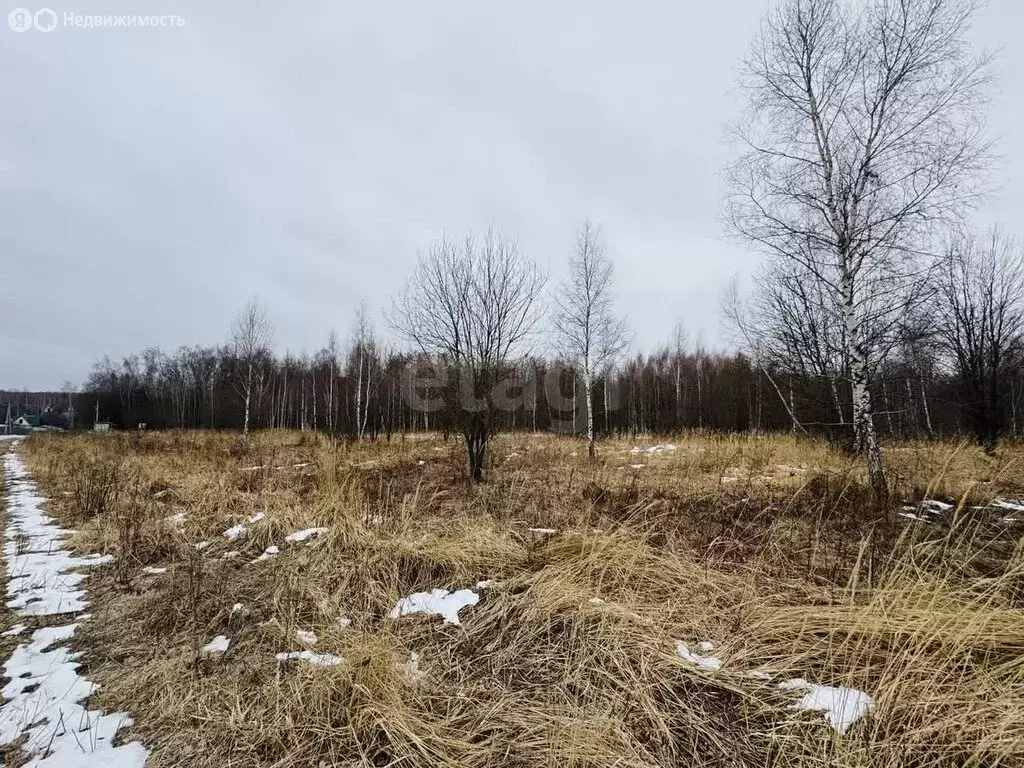 Участок в Тульская область, городской округ Тула, деревня Сергеево (16 ... - Фото 1