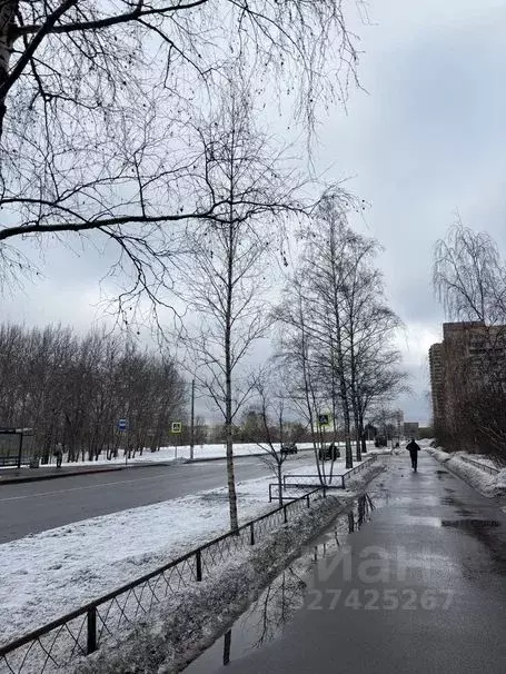 2-к кв. Санкт-Петербург ул. Тамбасова, 2К2 (45.5 м) - Фото 2