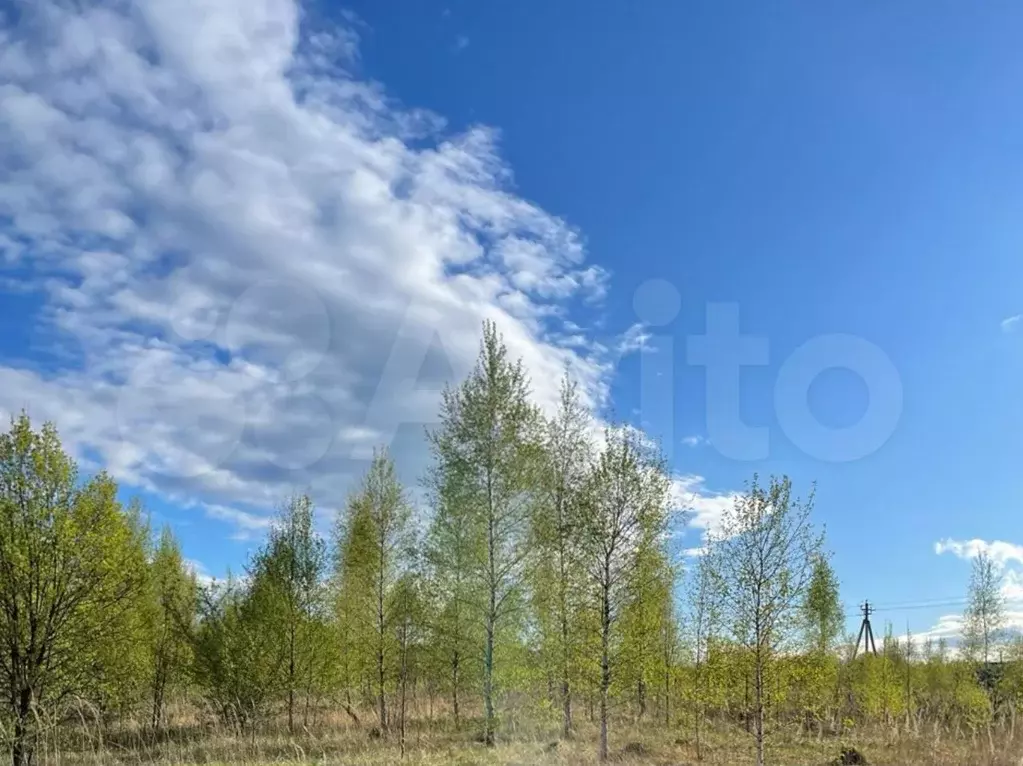 Участок 10 сот. (ИЖС) - Фото 1