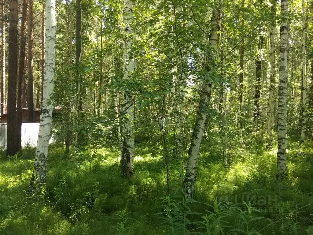 Участок в Иркутская область, Иркутский муниципальный округ, Жаворонки ... - Фото 0
