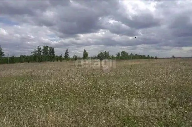 Участок в Татарстан, Тукаевский район, с. Нижний Суык-Су ул. Тынычлык ... - Фото 1