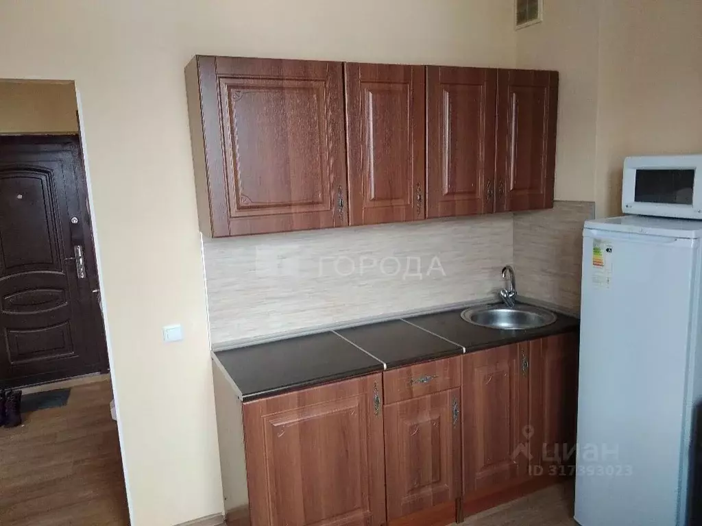 1-к кв. Новосибирская область, Новосибирск Выборная ул., 91/4 (37.0 м) - Фото 1