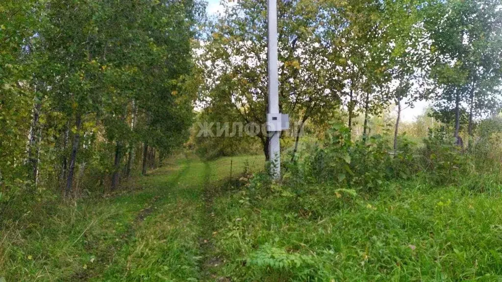 Дом в Новосибирская область, Новосибирский район, Барышевский ... - Фото 1