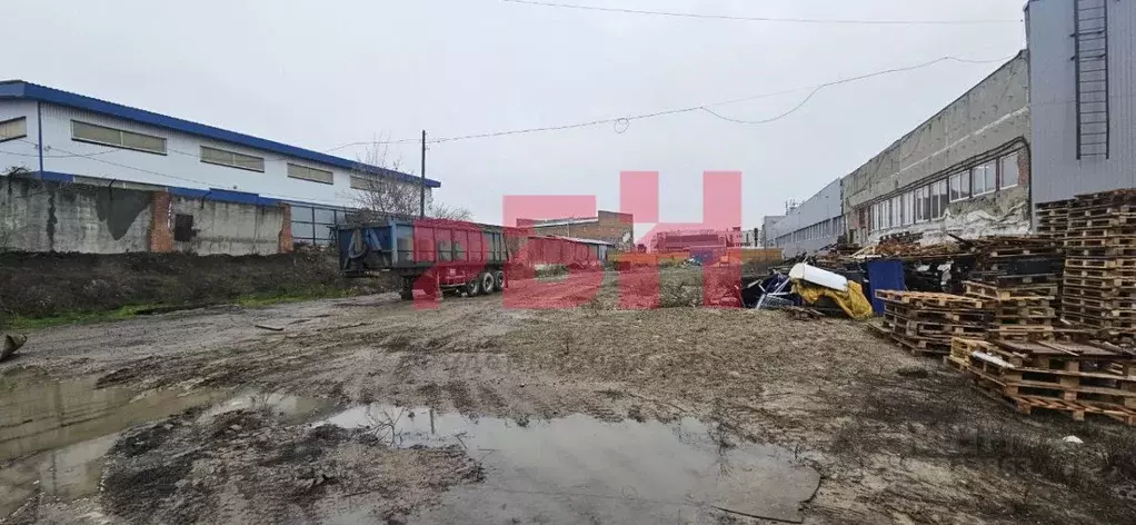Склад в Ростовская область, Ростов-на-Дону ул. Вавилова, 69 (2500 м) - Фото 1