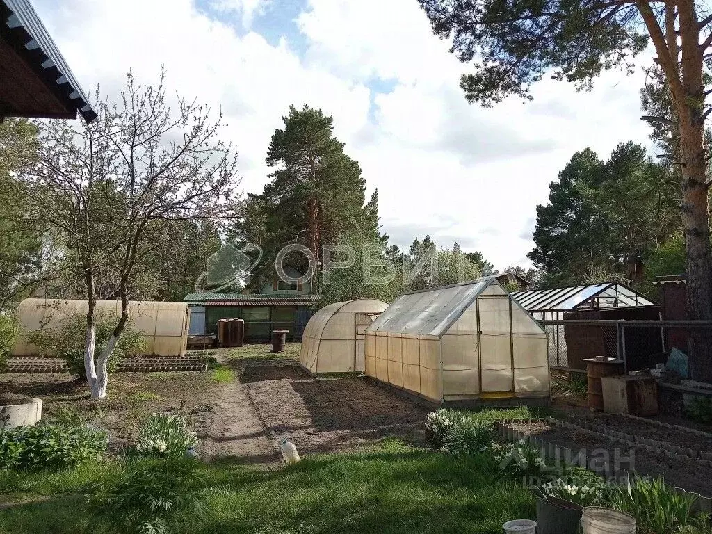 Участок в Тюменская область, Тюменский район, Архитектор СНТ ул. ... - Фото 1