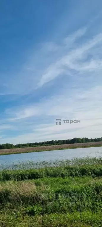 Участок в Челябинская область, Чебаркульский муниципальный округ, д. ... - Фото 2