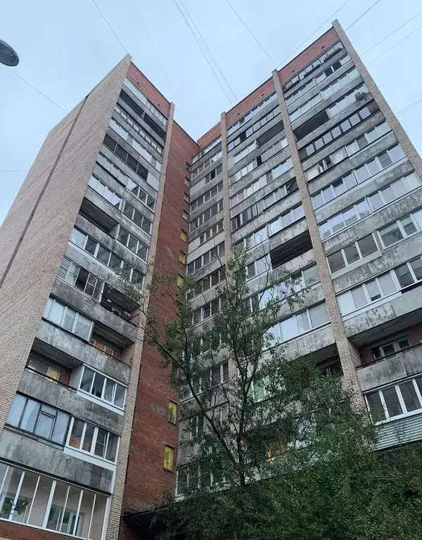 Комната Санкт-Петербург ул. Асафьева, 9К1 - Фото 2