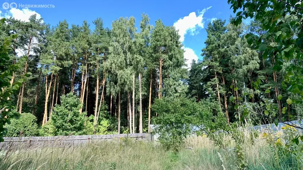 Участок в деревня Щемилово (11 м) - Фото 1