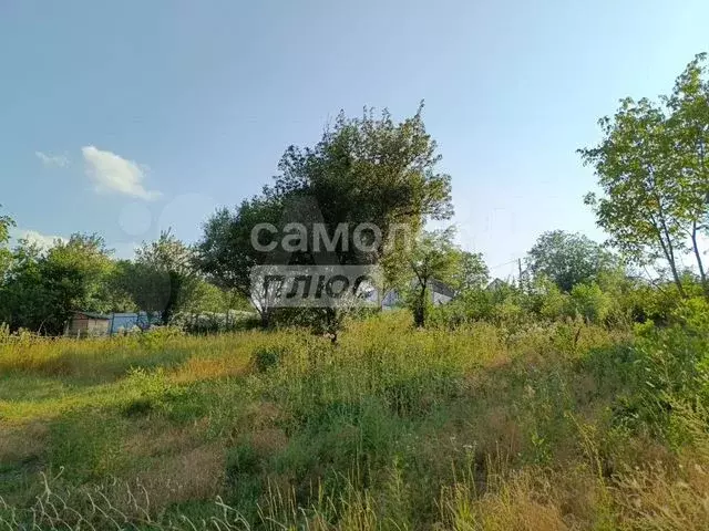 Участок 4,9 сот. (СНТ, ДНП) - Фото 0