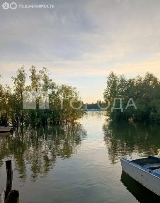 Участок в Новосибирск, СНТ Волна (6.6 м) - Фото 1