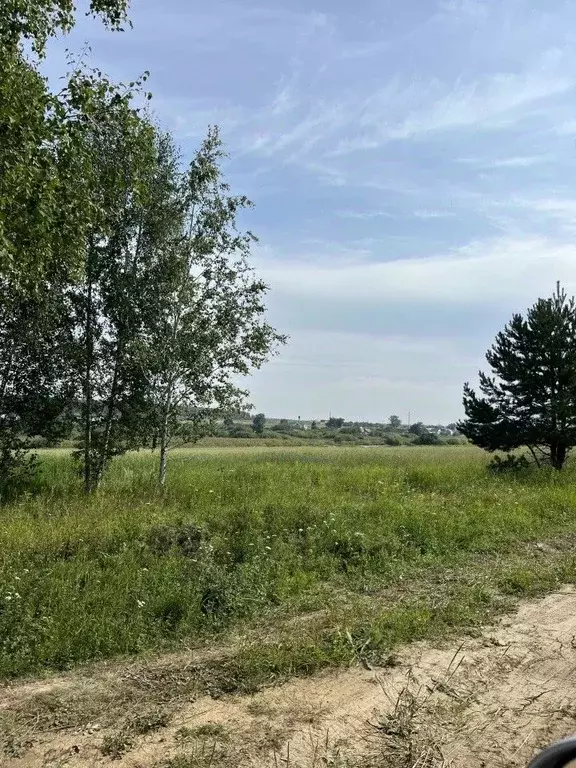 Участок в Свердловская область, Каменский муниципальный округ, д. ... - Фото 1