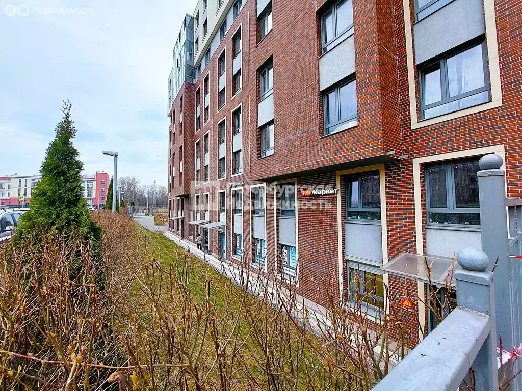 Помещение свободного назначения (49.3 м) - Фото 1