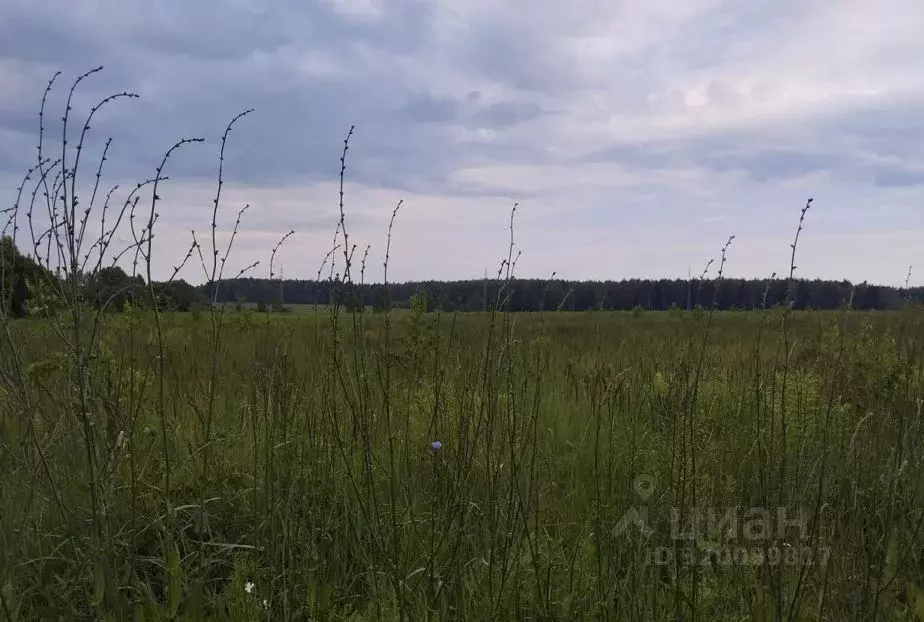 Участок в Московская область, Дмитровский муниципальный округ, д. ... - Фото 0