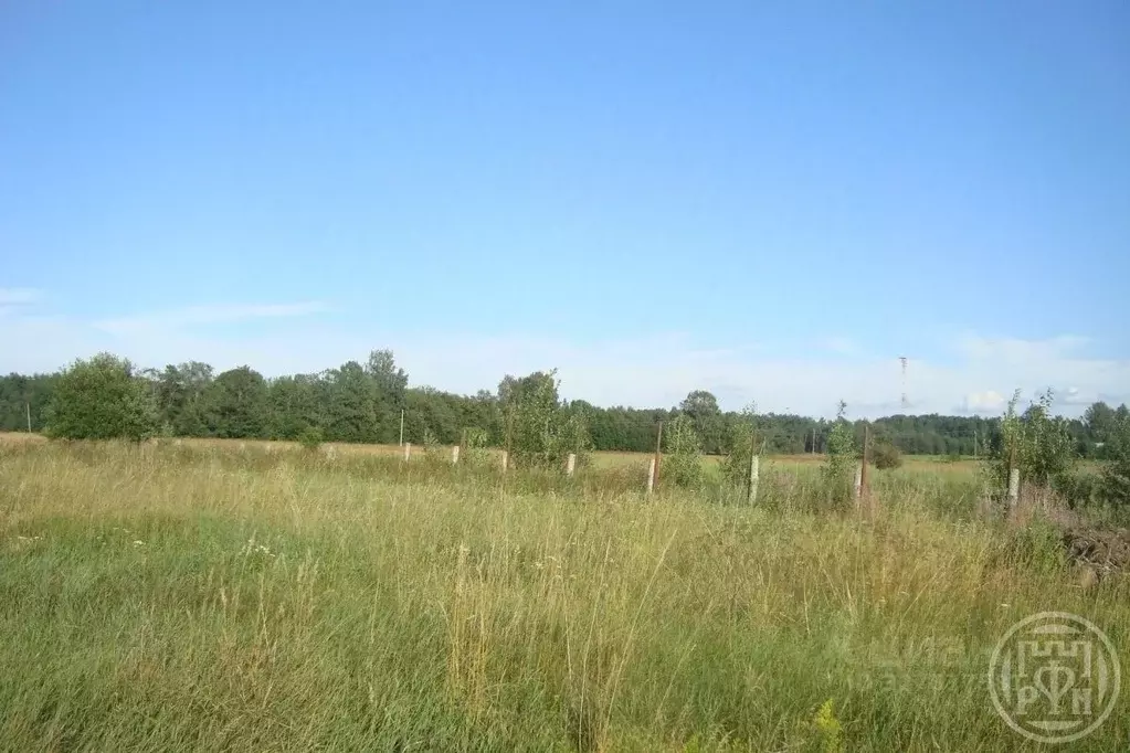 Участок в Ленинградская область, Выборгский район, Красносельское ... - Фото 1