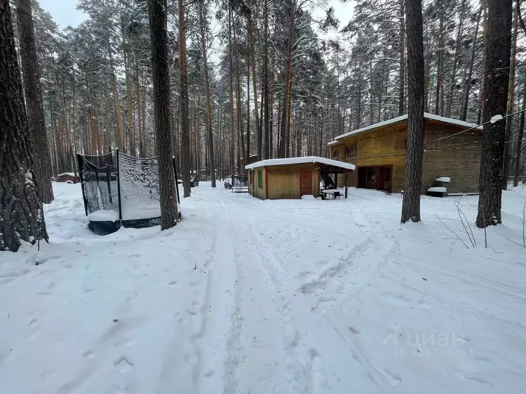 Участок в Свердловская область, Заречный муниципальный округ, д. ... - Фото 2