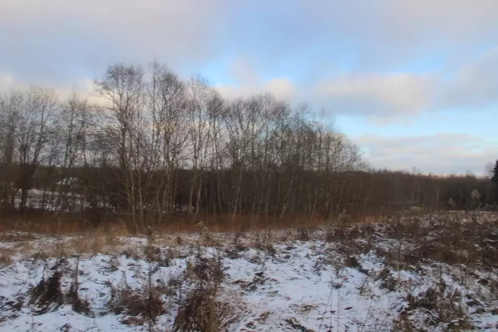 Участок в Московская область, Шаховская муниципальный округ, д. ... - Фото 2