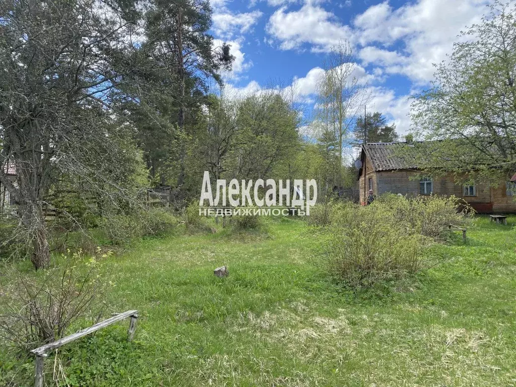 Дом в Ленинградская область, Приозерск Лесная ул. (34 м) - Фото 0