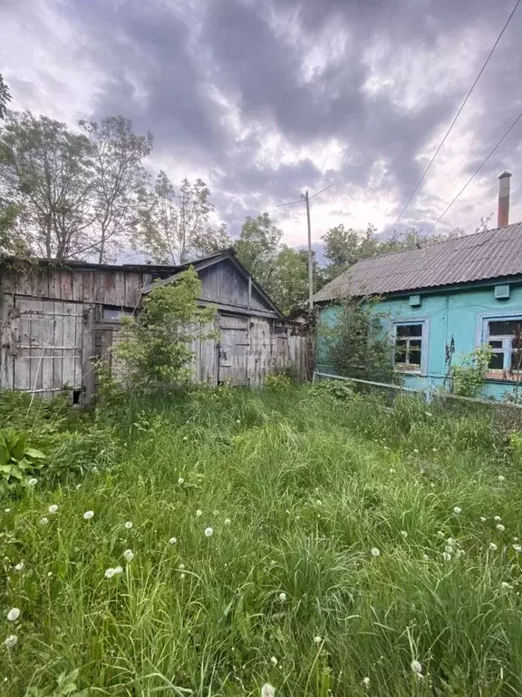 Дом в Воронежская область, Семилукский район, с. Перлевка Школьная ... - Фото 0