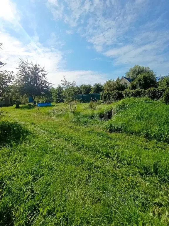 Участок в Московская область, Ленинский городской округ, д. Мамоново ... - Фото 1