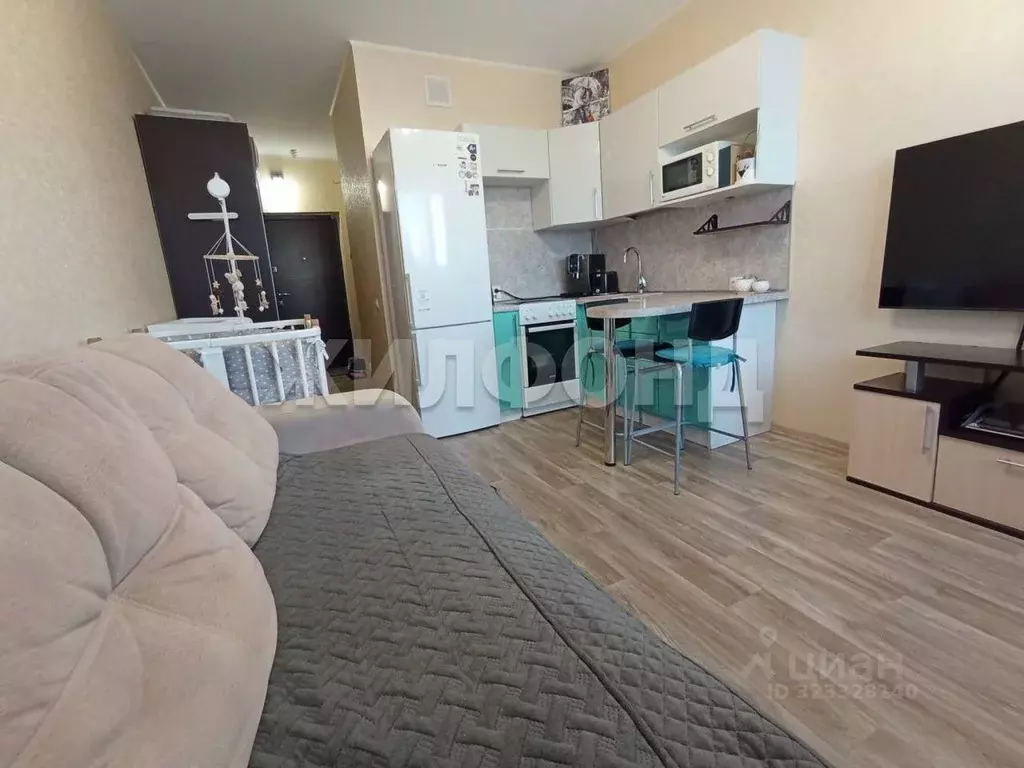 1-к кв. Новосибирская область, Новосибирск Беловежская ул., 4/1 (22.2 ... - Фото 1