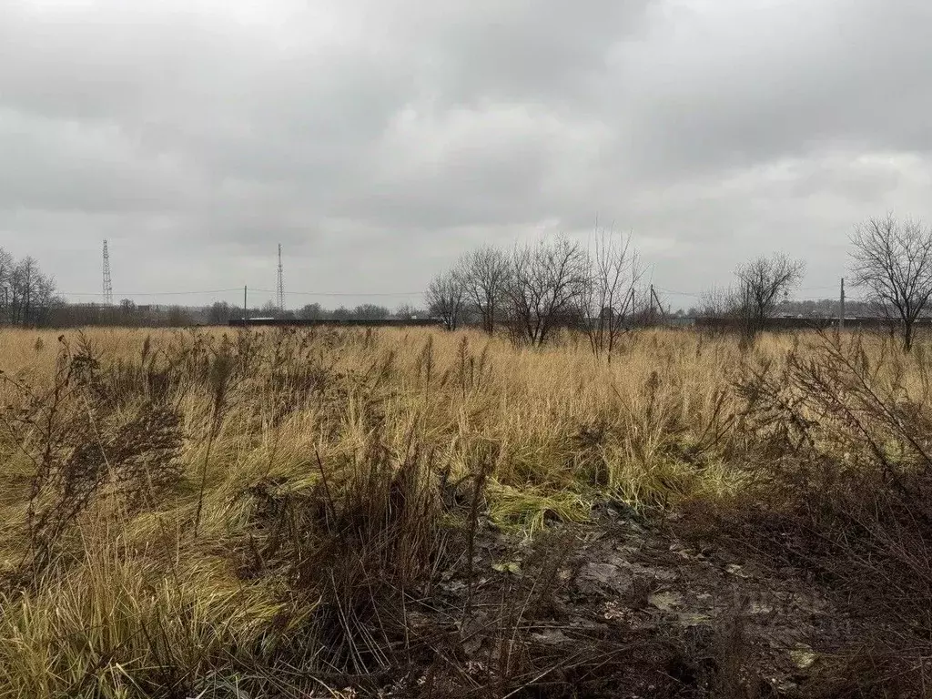 Участок в Московская область, Серпухов городской округ, с. Липицы  ... - Фото 0