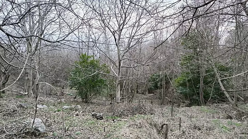 Участок в Крым, Ялта муниципальный округ, с. Оползневое  (12.0 сот.) - Фото 2